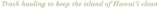 Business Services Hawaii logo