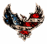 Freedom Dumpsters logo