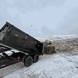 Black Dog Disposal LLC logo