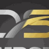 Dumpster Solutions logo