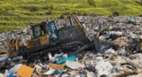 Sharky's Dumpsters - Junk Removal and Hauling logo