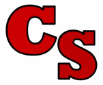 CITY SANITATION logo