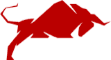 Iron Bull Hauling- Junk & Debris Removal logo