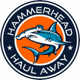 Hammerhead Haul Away | Junk Removal & Dumpster Rentals in Rotterdam, NY logo