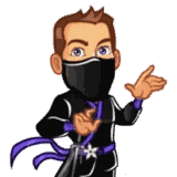 Junk Ninja Dumpster Rental logo