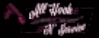 All Hook N Service logo