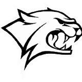 Wildcat Dumpster Rentals - Fort Worth Roll Offs logo