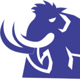 Mammoth Dumpster, LLC logo